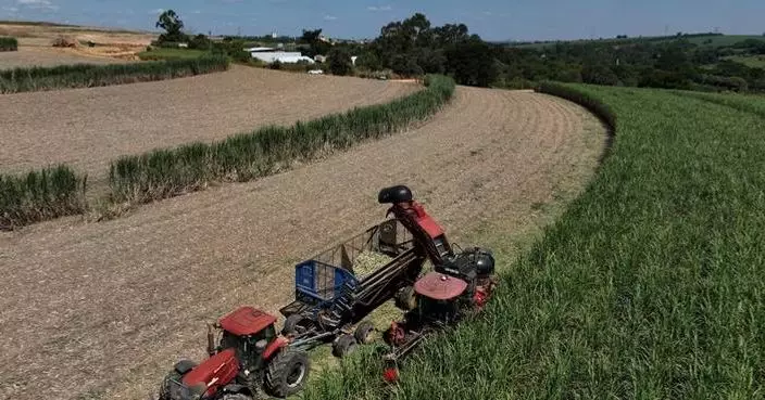 Brazil is uniquely positioned to weather rising world oil prices. Here is why