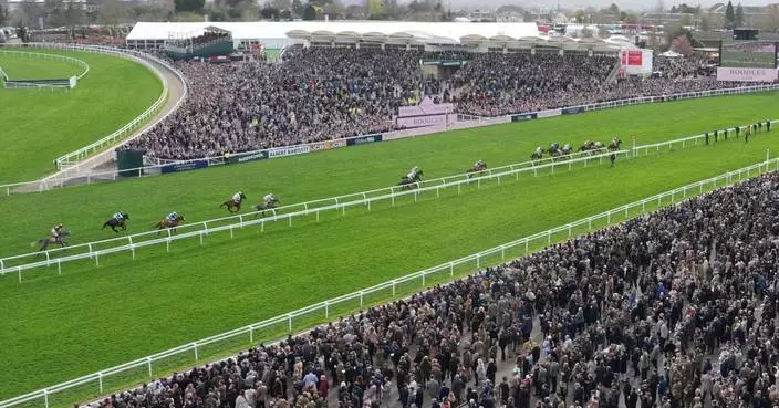 4 horses die at Cheltenham Festival as charity urges better safety and welfare measures