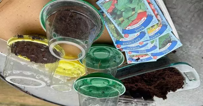 How to save money on garden gear with some creative recycling