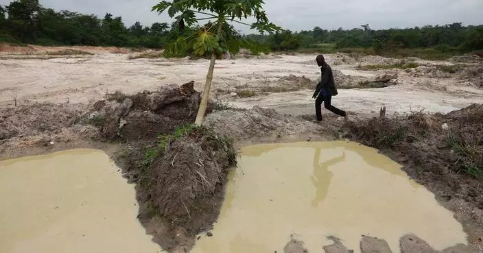 Cocoa beans rot and West African farmers seek other options after commodity crash