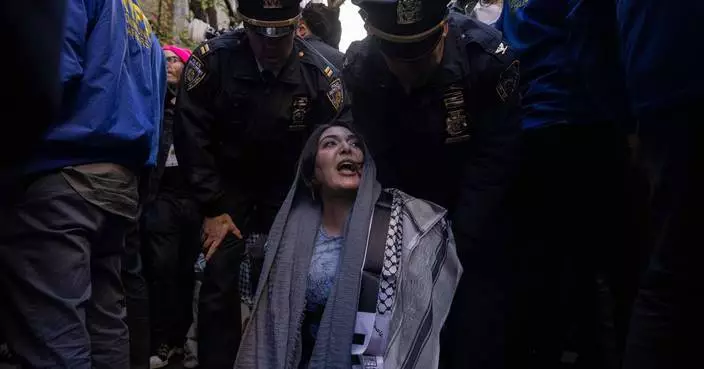 Plot to firebomb Palestinian activist's home disrupted by NYPD undercover operation