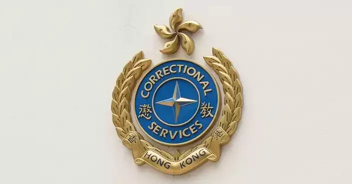 Correctional officers Stop Remand Person in Custody Attempting Escape