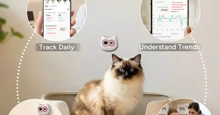 SiiPet Highlights Spring Health Priorities for Cats as Seasonal Initiative Expands Access to AI‑Driven Monitoring