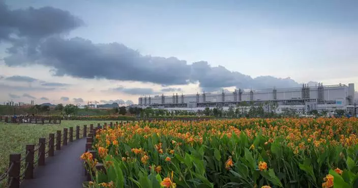 TCL is a “Doer”: Embedding ESG to Create Positive Impact across the Global Value Chain