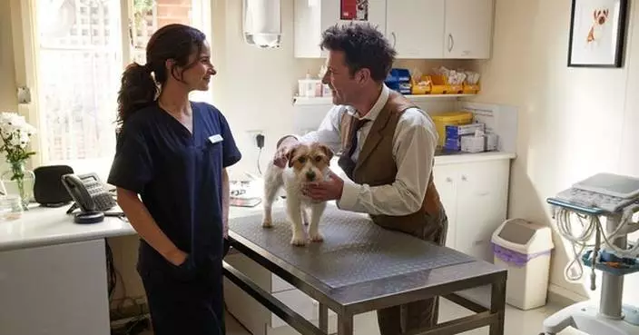 Celebrate National Puppy Day: Budget Direct Pet Insurance Highlights the Joy of New Beginnings and Lifelong Pet Wellness