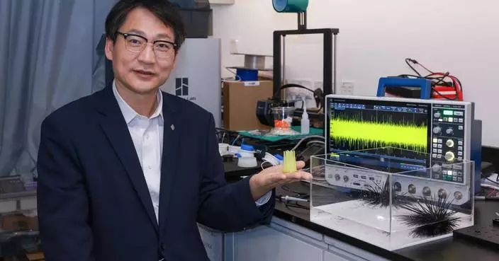 PolyU research unveils mechanoelectrical perception in sea urchin spines, empowering next-generation biomimetic sensors
