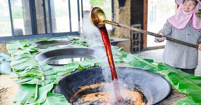 Bridging the Digital Divide: 5G Drives Rural Revitalization in Guangxi, China