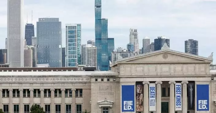 Scientists say the world’s oldest octopus fossil isn’t an octopus after all