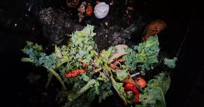 Still unsure about composting? Here’s why and how to make ‘black gold’ for the garden