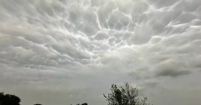 You're probably paying more for insurance lately. A new study suggests federal action to cut costs