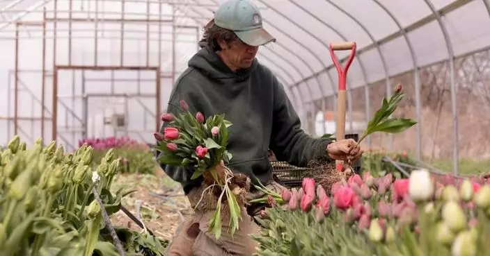 Northeast flower and fruit farmers grapple with whiplash weather