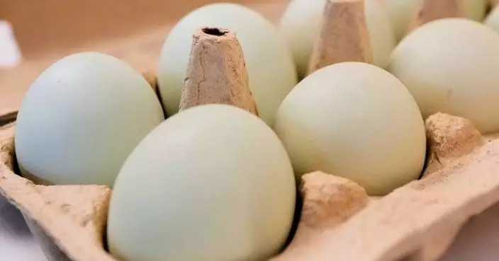 Eggs for Easter cost much less in the US than last year. A look at the numbers