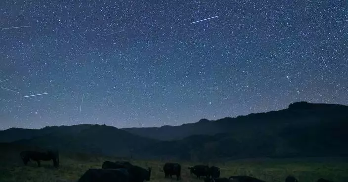 Halter Launches World-First Virtual Fencing via Satellite, Unlocking Ranch Management Anywhere