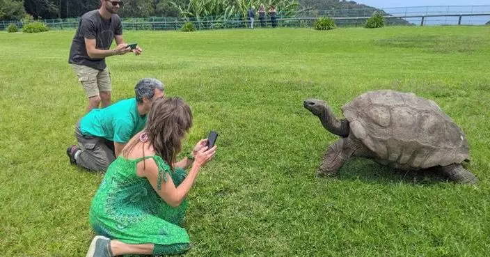 World’s oldest known tortoise still very much alive despite rumor to the contrary