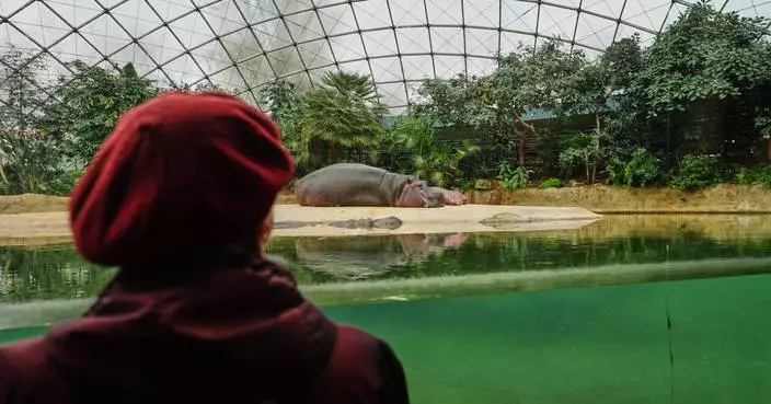 A specialized tour at the Berlin Zoo brings joy to people living with dementia