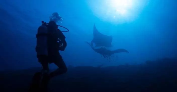 Ocean protections clash with mining pressure in Indonesia’s most diverse marine ecosystem