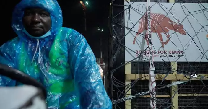 Critically endangered antelopes return to Kenya from Czech zoo