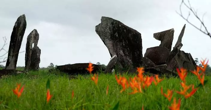 Archaeological digs in Amazon provide clues about Indigenous inhabitants before colonization
