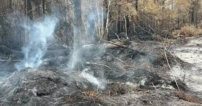 Georgia officials warn wildfires are still a threat as firefighters report progress