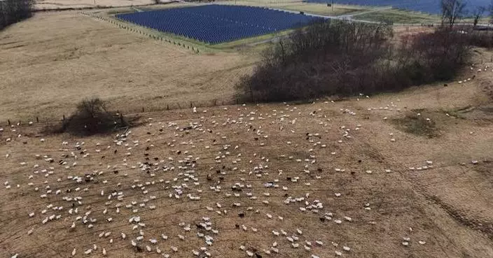 Some American farmers bet on solar. Then Trump changed the rules