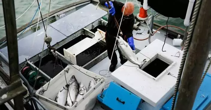 Commercial salmon fishing to open in California for the first time since 2022 as population rebounds