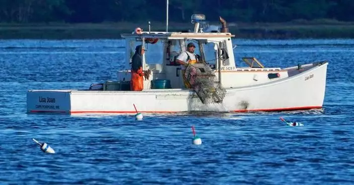 Consumers are lost at sea as seafood sustainability grows more complex