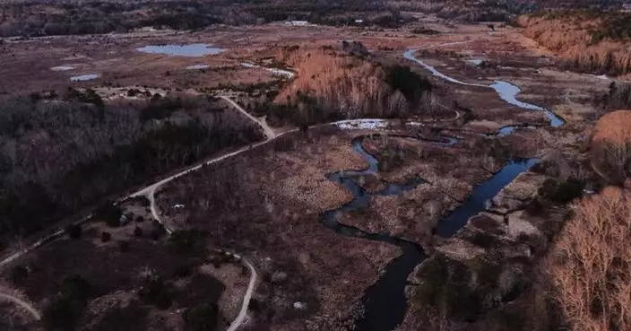 How a retired cranberry bog helped change the game for wetland restoration