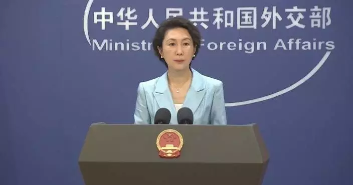 Combating online gambling, telecom fraud is shared global responsibility: spokeswoman