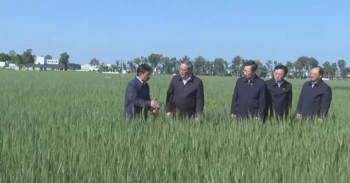 Chinese premier stresses building new-type power grid, optimizing energy structure