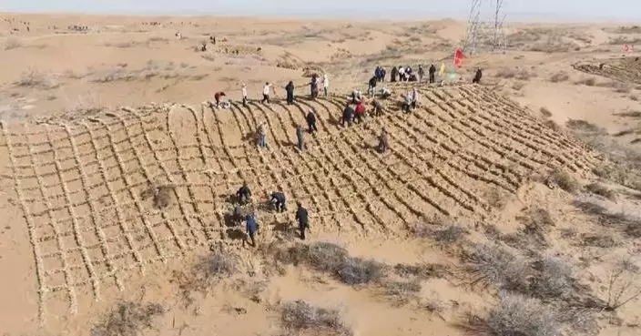China steps up desertification control in its fourth-largest desert
