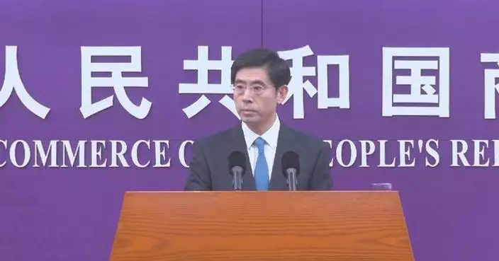 Enterprises must comply with Chinese laws in overseas operations: spokesman