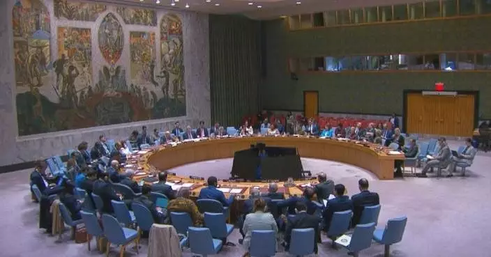 China calls for political settlement of Middle East issue at Security Council meeting