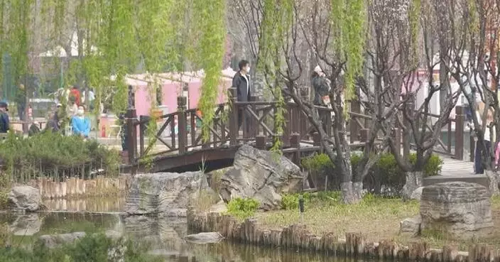 Blooming spring flowers draw visitors across Beijing-Tianjin-Hebei region