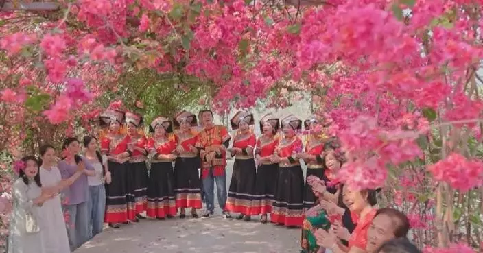 Spring flower-viewing trips boom