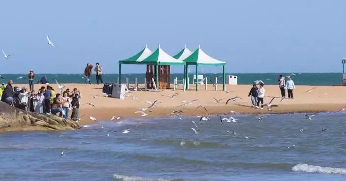 Spring outings boom during Qingming holiday in China