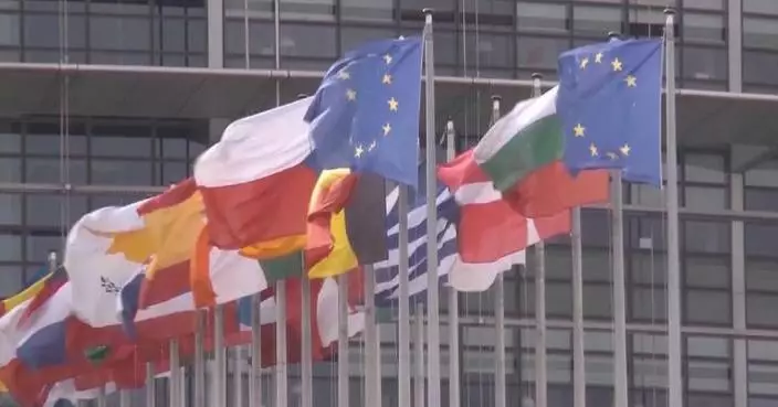 Culture, AI key to China-EU collaboration: former Greek president