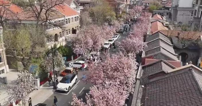 Tourism, culture, commerce blend across China during Qingming Festival holiday