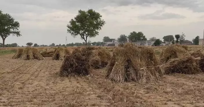 Escalating Middle East conflict strains India’s fertilizer supply