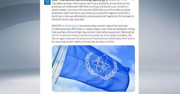 Nuclear power plants must never be attacked: IAEA chief