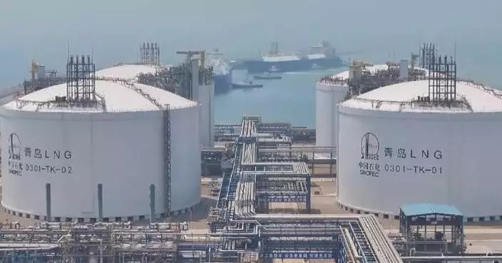 China's commodity price index up 4 pct in March