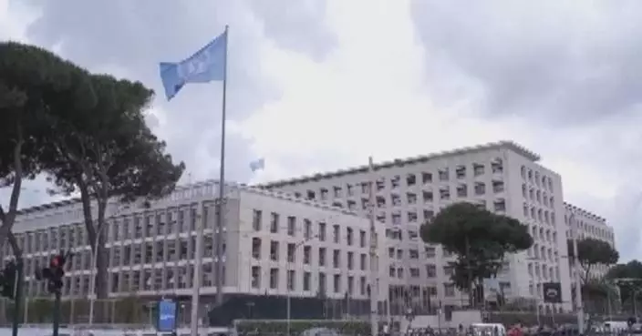 FAO warns Middle East conflict driving up agriculture costs, risks global food price rise