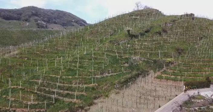 Middle East tension hits Italy’s wine industry