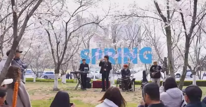 Spring outings drive tourist surge across China during Qingming Festival holiday