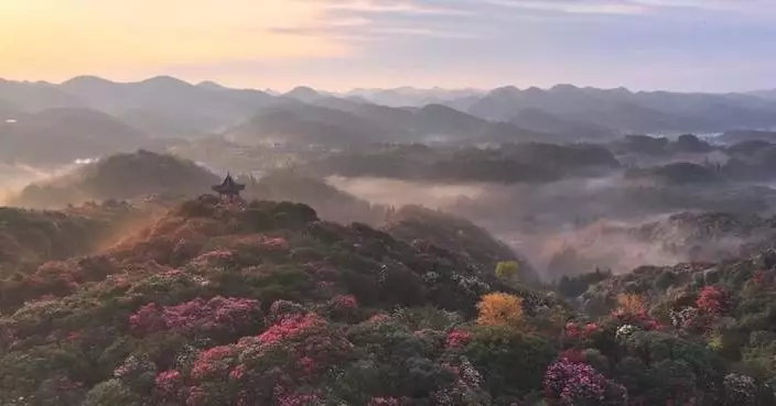Flowers draw tourists across China during Qingming Festival holiday