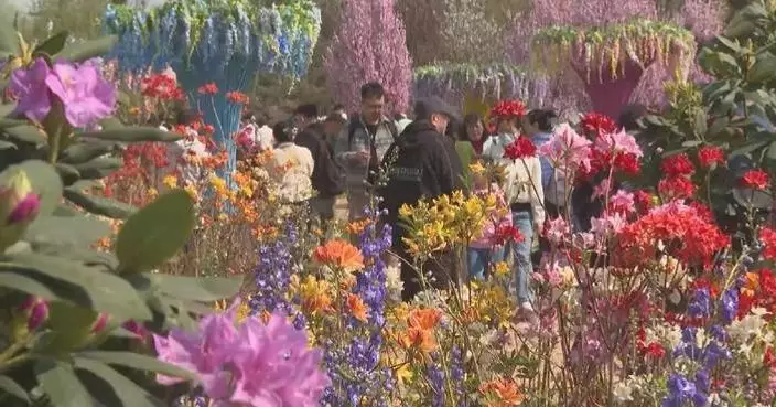 Flower viewing draws holiday crowds across China during Qingming Festival