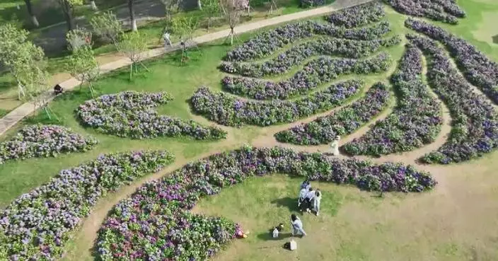 Scenic spots across China see surging tourist flow during Qingming Festival holiday