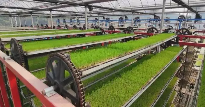 Smart agriculture facilitates spring plowing in Fujian