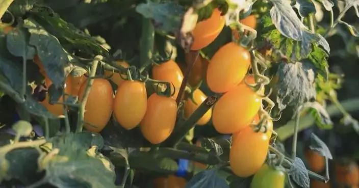 Holiday crowds enjoy colorful activities across China