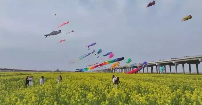 Spring flowers blooming across China, attracting more to go outdoors