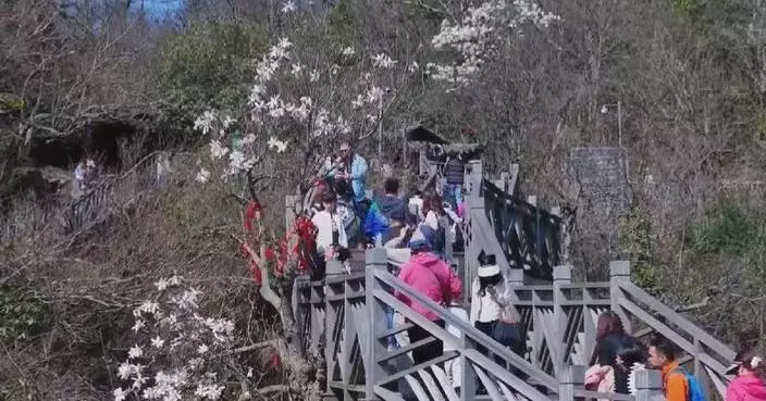 Qingming holiday unleashes spending on novel products, services